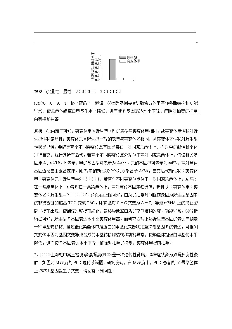 2023届高考生物二轮复习重难大题集训(二)变异与遗传的综合考查作业含答案第2页
