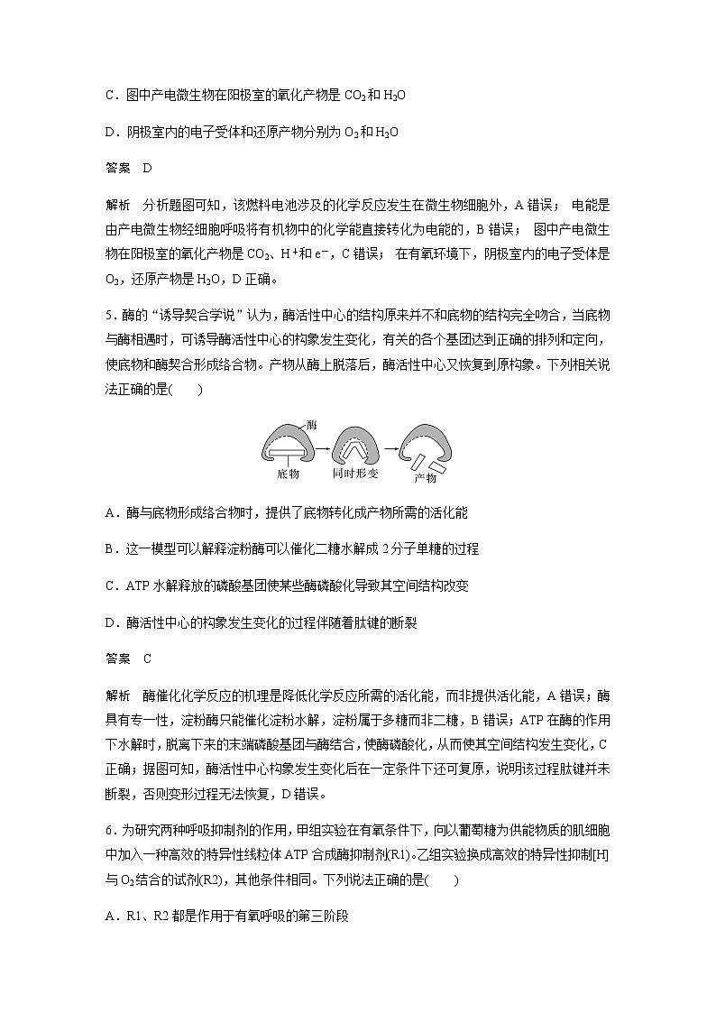 2023届高考生物二轮复习专项二选择题提速练(二)细胞代谢作业含答案第3页