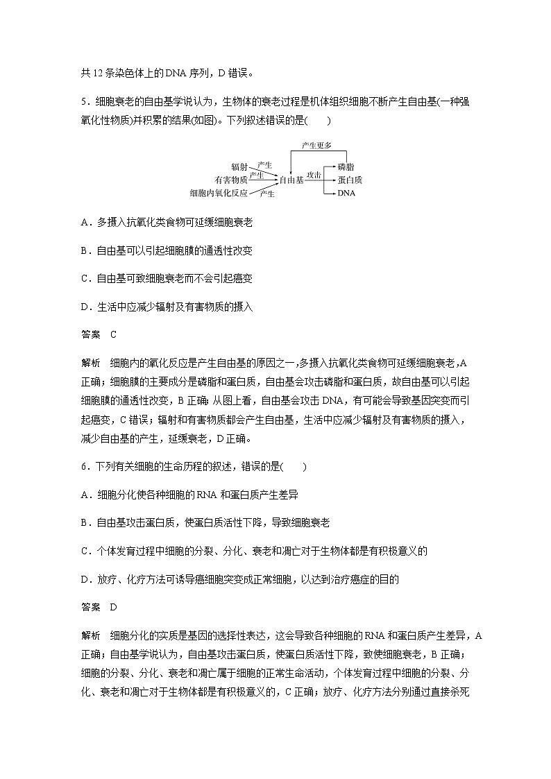 2023届高考生物二轮复习专项二选择题提速练(三)细胞的生命历程作业含答案第3页