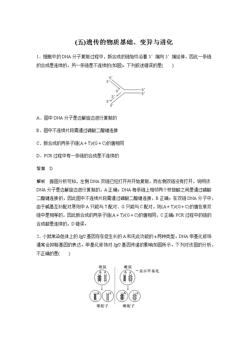 2023届高考生物二轮复习专项二选择题提速练(五)遗传的物质基础、变异与进化构作业含答案第1页