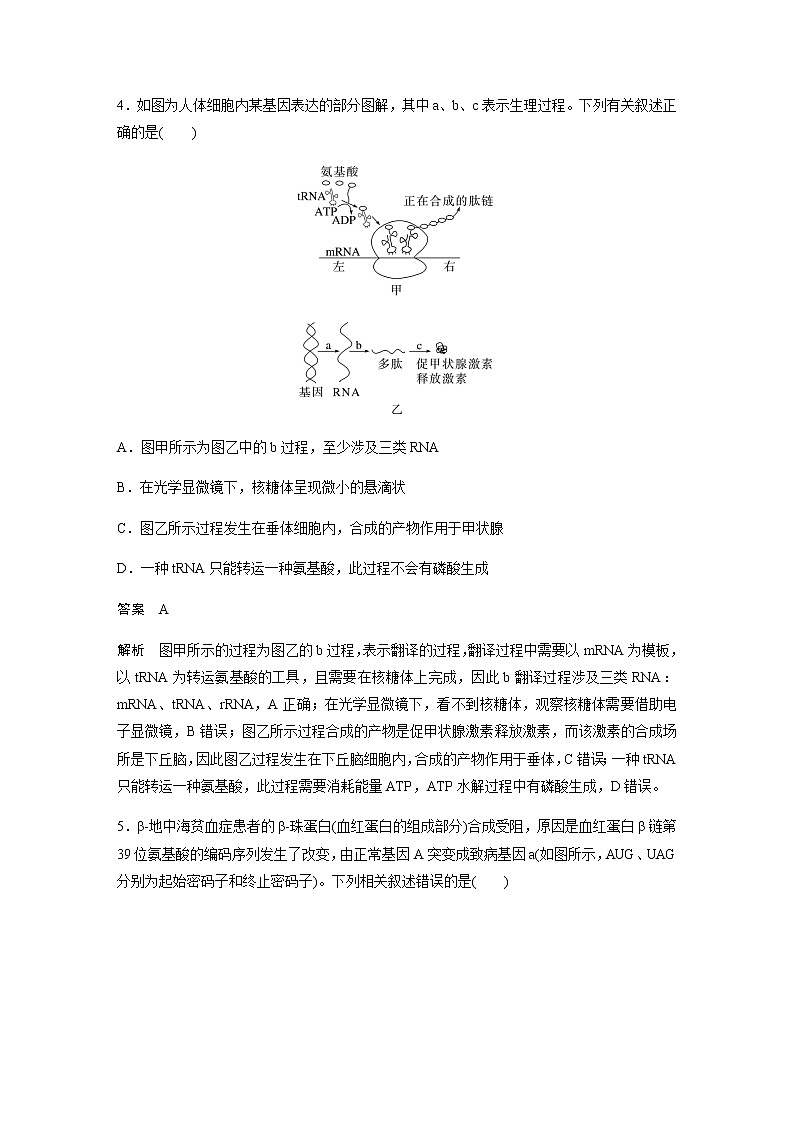 2023届高考生物二轮复习专项二选择题提速练(五)遗传的物质基础、变异与进化构作业含答案第3页