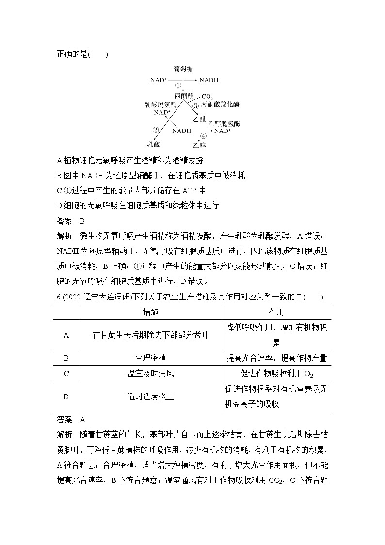 2023届高考生物二轮复习细胞代谢作业含答案第3页