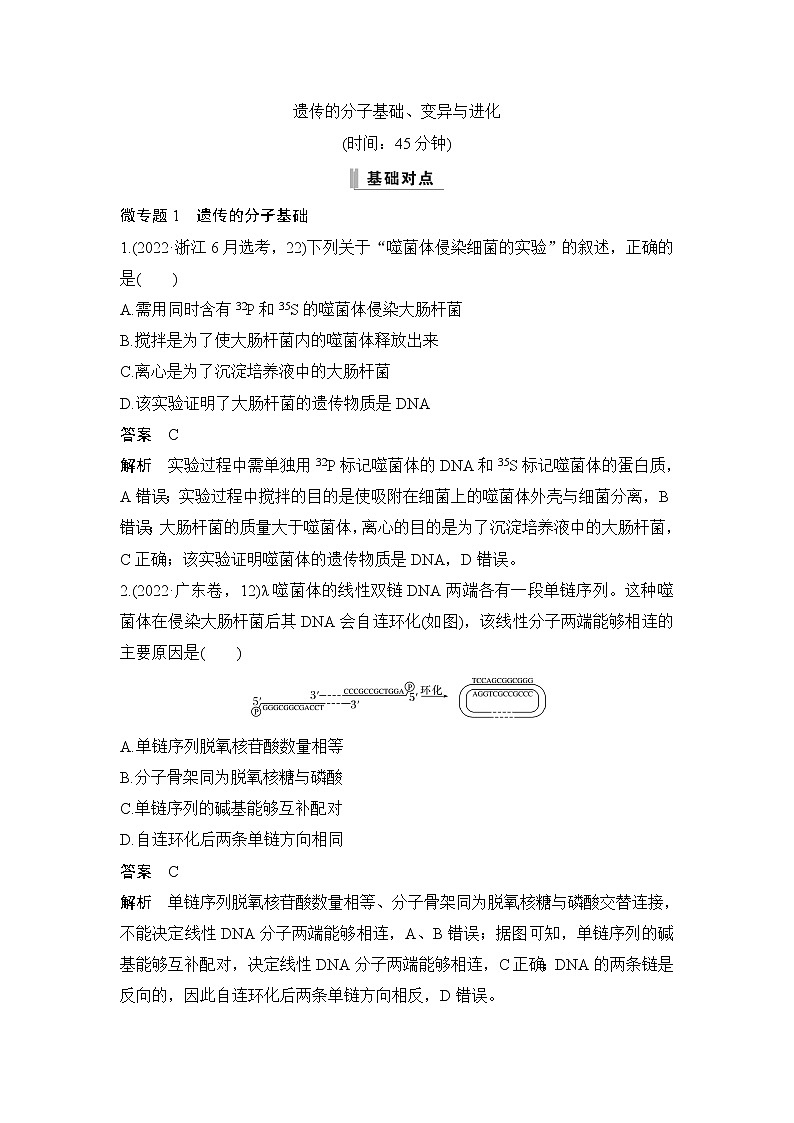 2023届高考生物二轮复习遗传的分子基础、变异与进化作业含答案01