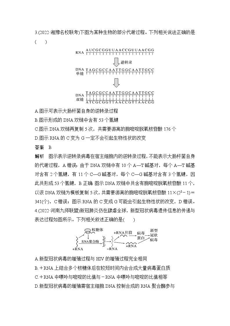 2023届高考生物二轮复习遗传的分子基础、变异与进化作业含答案02