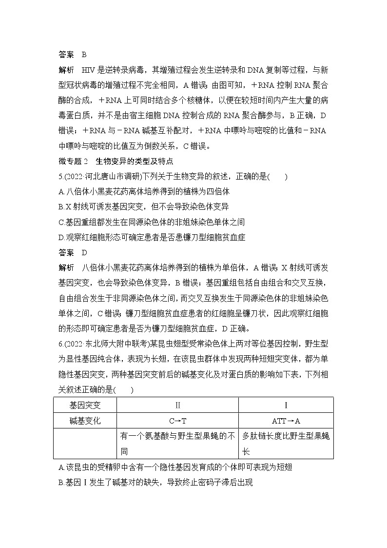 2023届高考生物二轮复习遗传的分子基础、变异与进化作业含答案03