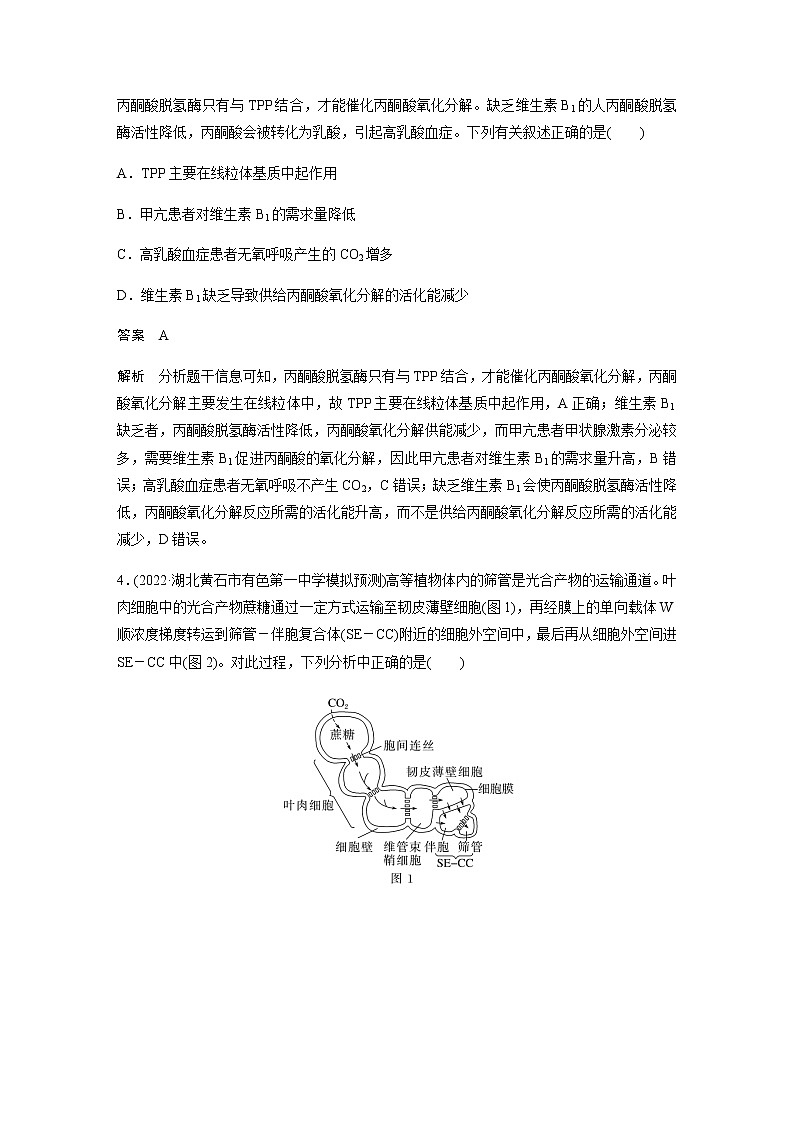 2023届高考生物二轮复习细胞代谢作业（B）第2页