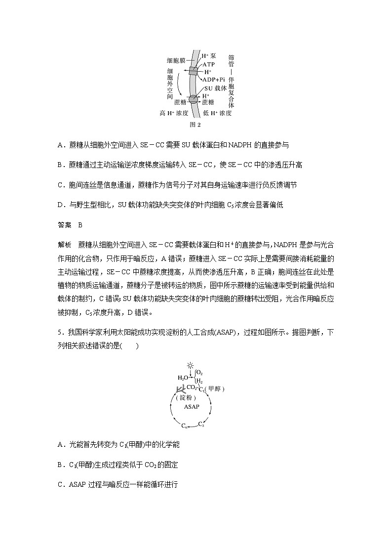 2023届高考生物二轮复习细胞代谢作业（B）第3页