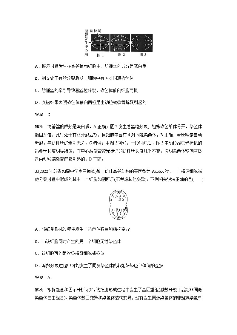 2023届高考生物二轮复习细胞的生命历程作业含答案第2页