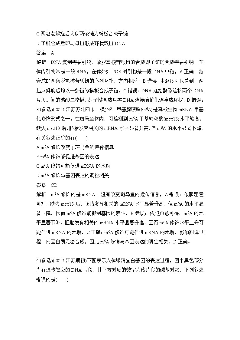 2023届高考生物二轮复习遗传的分子基础、变异与进化作业含答案02