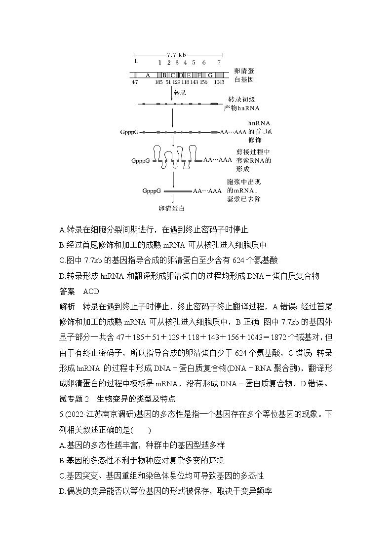 2023届高考生物二轮复习遗传的分子基础、变异与进化作业含答案03