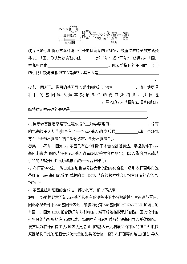 2023届高考生物二轮复习现代生物科技专题作业含答案第2页