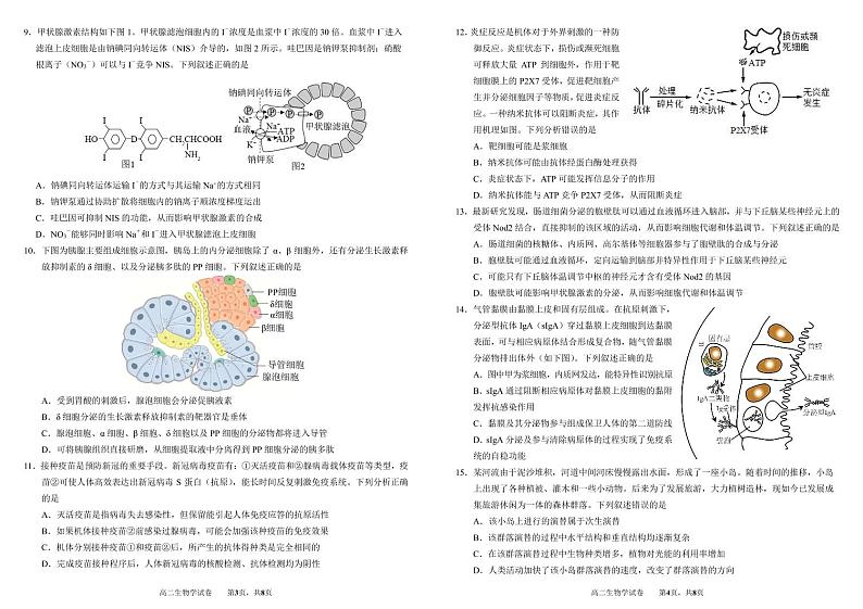 2023武汉外国语学校高二上学期期末考试生物试题扫描版含答案02