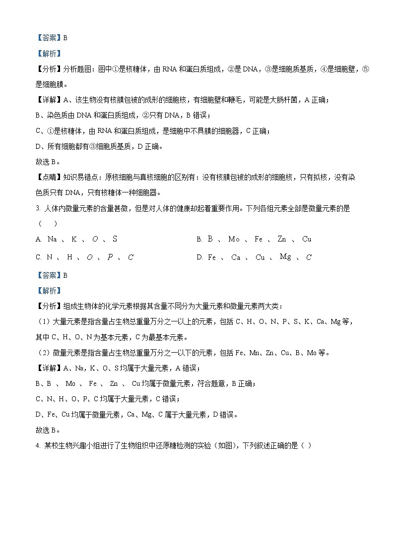 2023益阳六校高一上学期期末联考试题生物含解析02