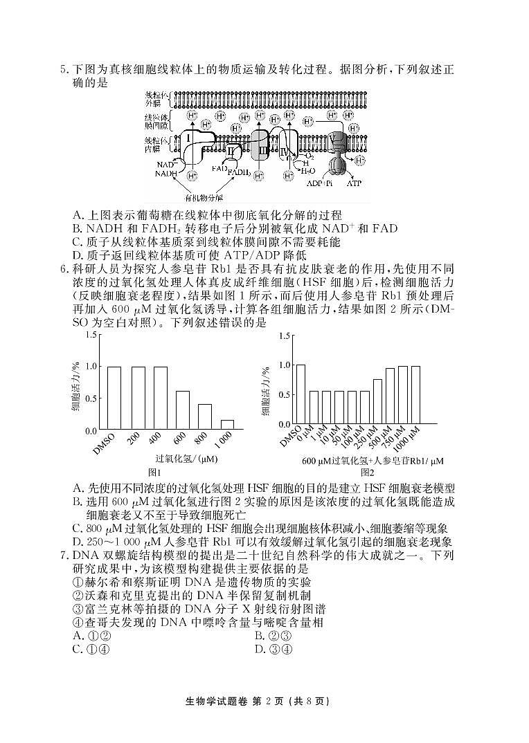 湖南省益阳市2022-2023学年高三上学期期末质量检测高三生物试题02