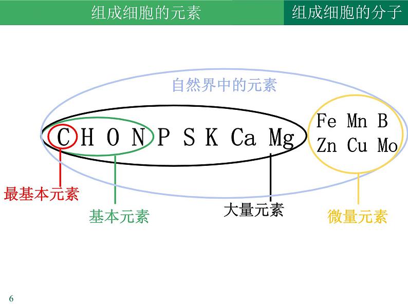 2.1细胞中的元素和化合物课件2021-2022学年高一上学期生物人教版必修106