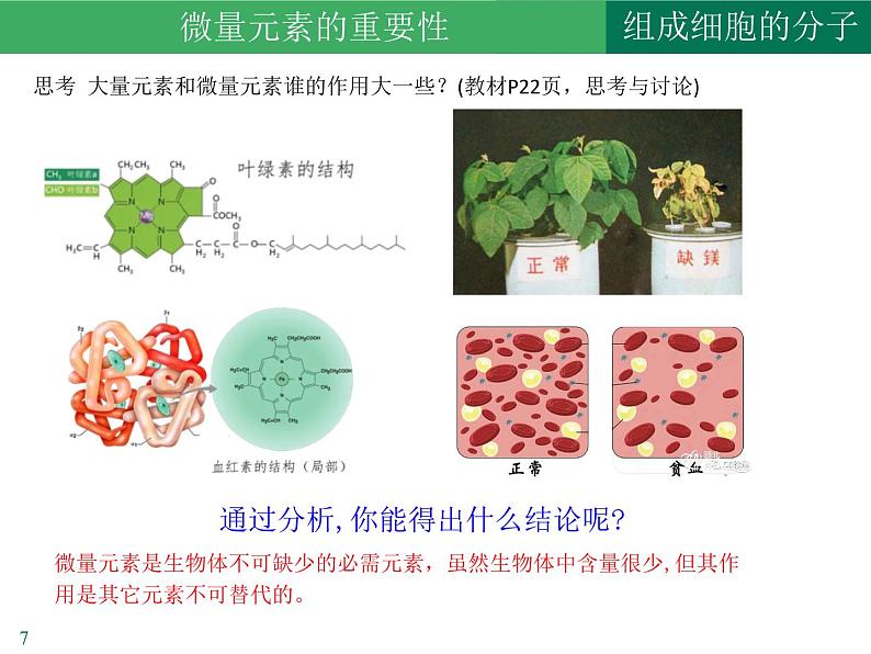 2.1细胞中的元素和化合物课件2021-2022学年高一上学期生物人教版必修107