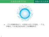 2.2 细胞中的无机物课件2022-2023学年高一上学期生物人教版必修1
