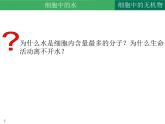 2.2 细胞中的无机物课件2022-2023学年高一上学期生物人教版必修1