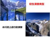 2.3  群落的演替 课件 2022——2023学年高二上学期生物人教版选择性必修2