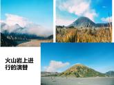 2.3  群落的演替 课件 2022——2023学年高二上学期生物人教版选择性必修2