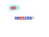 2.3伴性遗传 课件 2021——2022学年高一下学期生物人教版必修2