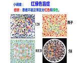 2.3伴性遗传 课件 2021——2022学年高一下学期生物人教版必修2