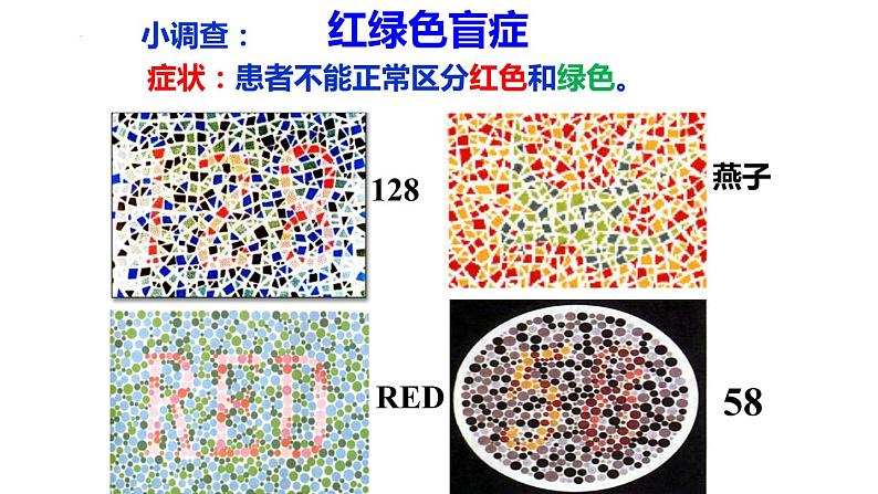 2.3伴性遗传 课件 2021——2022学年高一下学期生物人教版必修204