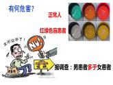 2.3伴性遗传 课件 2021——2022学年高一下学期生物人教版必修2
