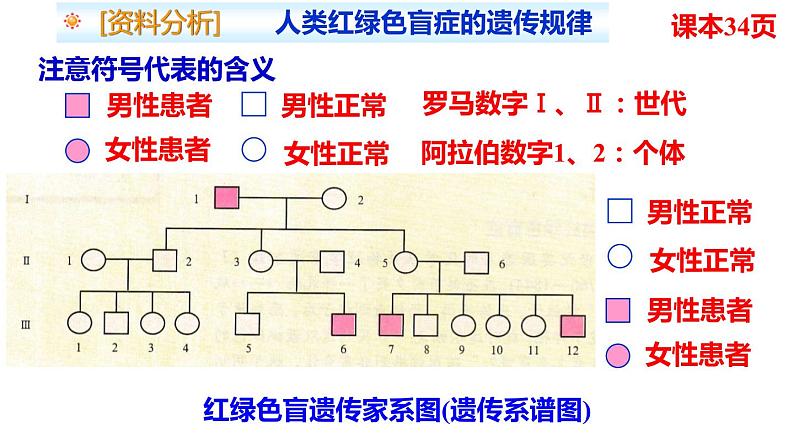 2.3伴性遗传 课件 2021——2022学年高一下学期生物人教版必修207