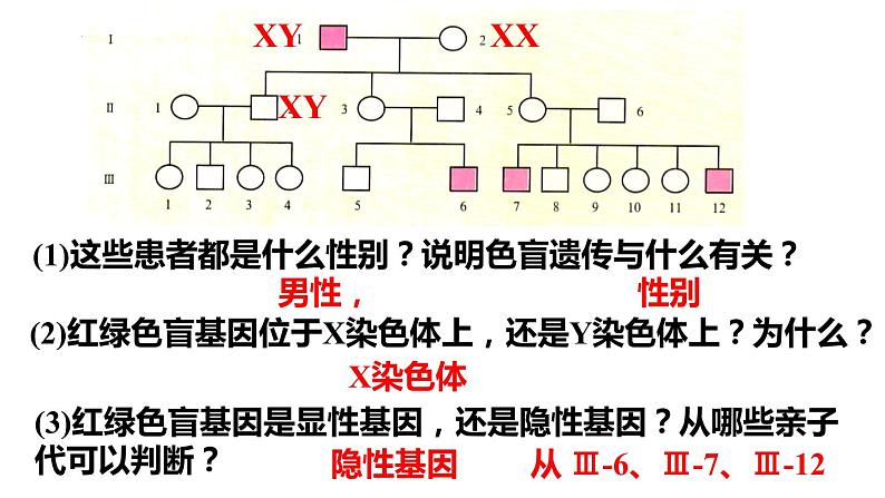 2.3伴性遗传 课件 2021——2022学年高一下学期生物人教版必修208