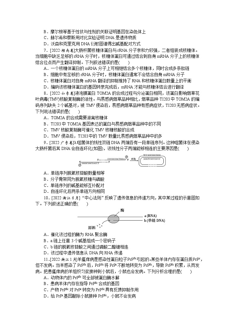 2023届高考生物二轮复习真题分类再回访生命系统的遗传、变异、进化作业（不定项）含答案第2页