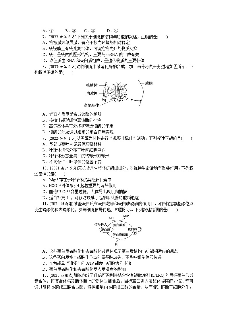 2023届高考生物二轮复习真题分类再回访课堂定时练规范生命系统的物质基础和结构基础作业（不定项）含答案02