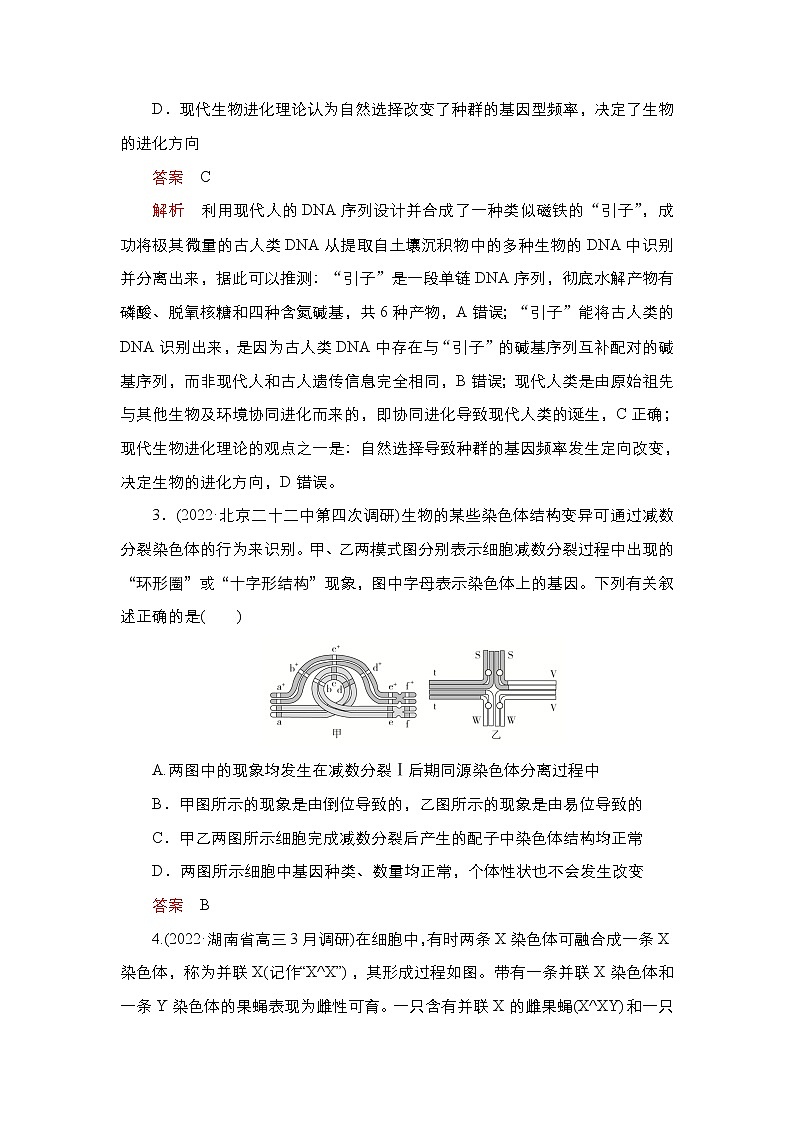 2023届高考生物二轮复习变异和进化（基础测试）作业（不定项）含答案第2页