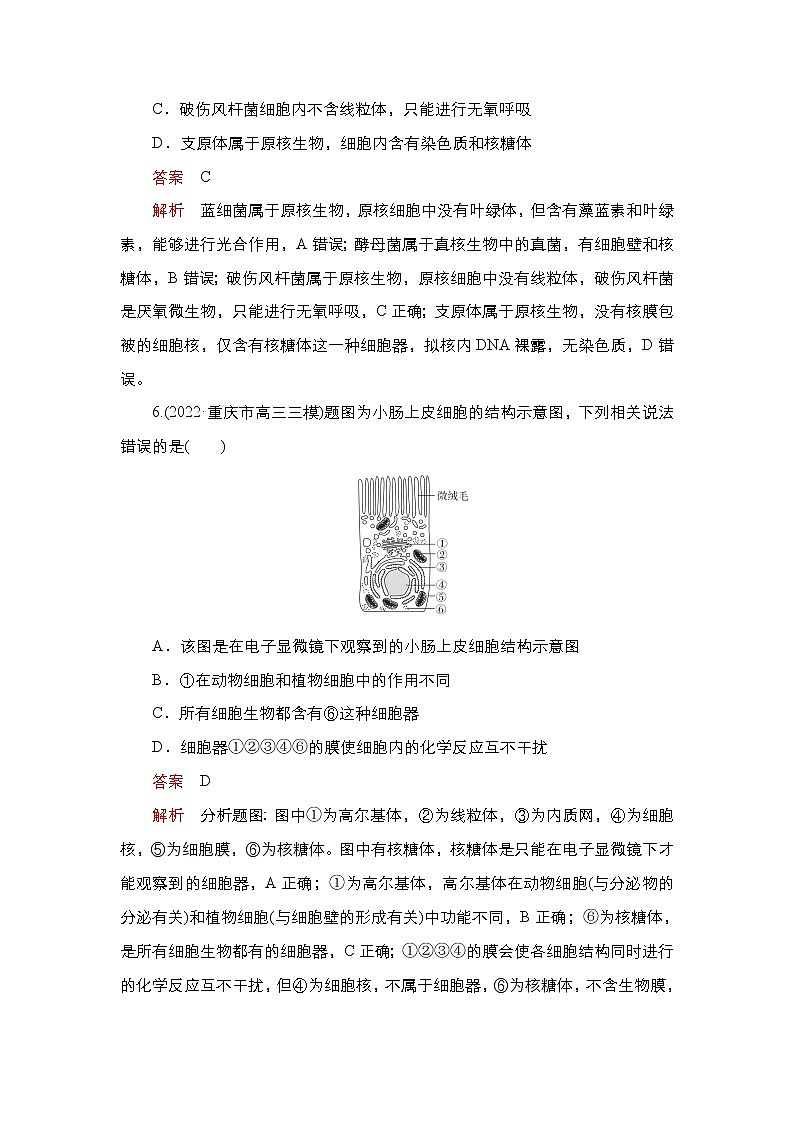 2023届高考生物二轮复习细胞分子组成、结构和生命历程（基础测试）作业含答案第3页