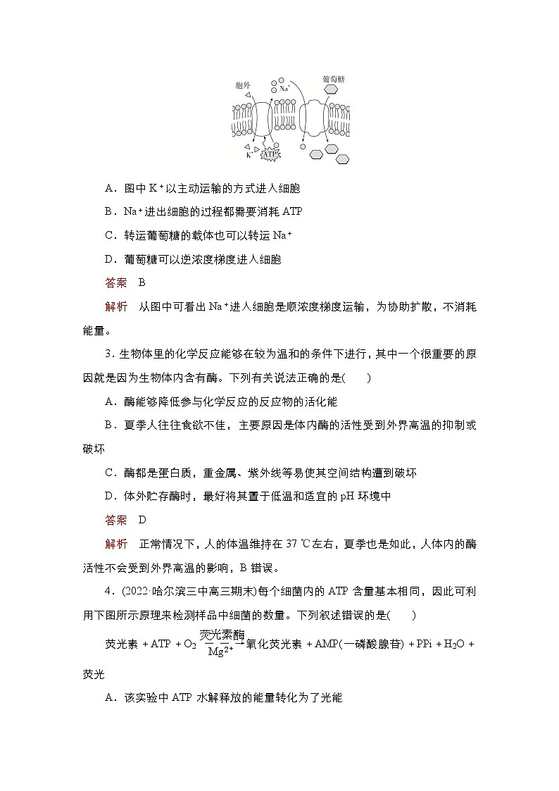 2023届高考生物二轮复习细胞物质和能量代谢（基础测试）作业（不定项）含答案第2页