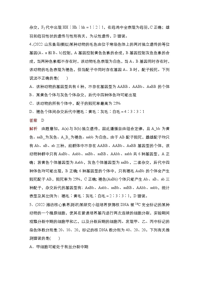 2023届高考生物二轮复习遗传的细胞学、分子学基础（能力测试）作业（不定项）含答案第3页
