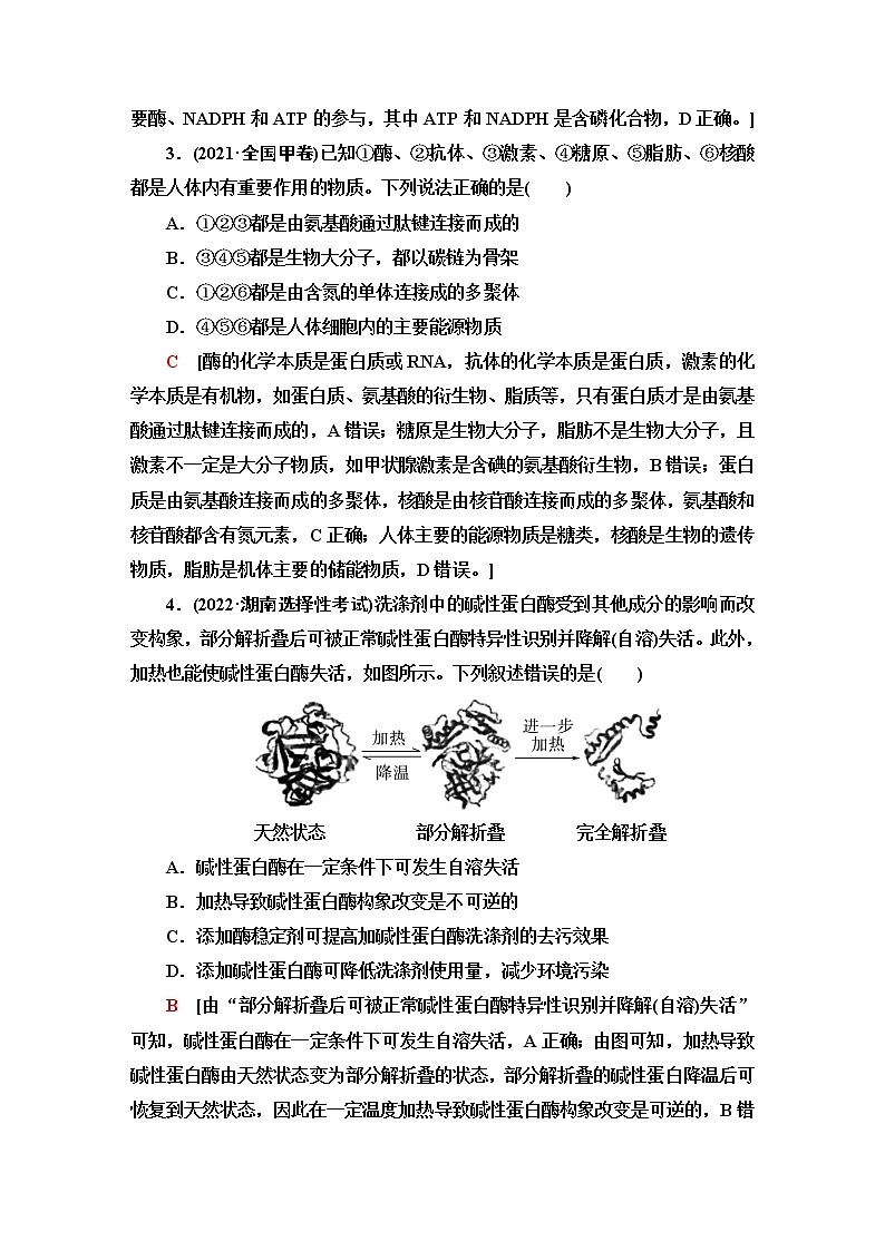 2023届高考生物二轮复习细胞的分子组成作业含答案第2页