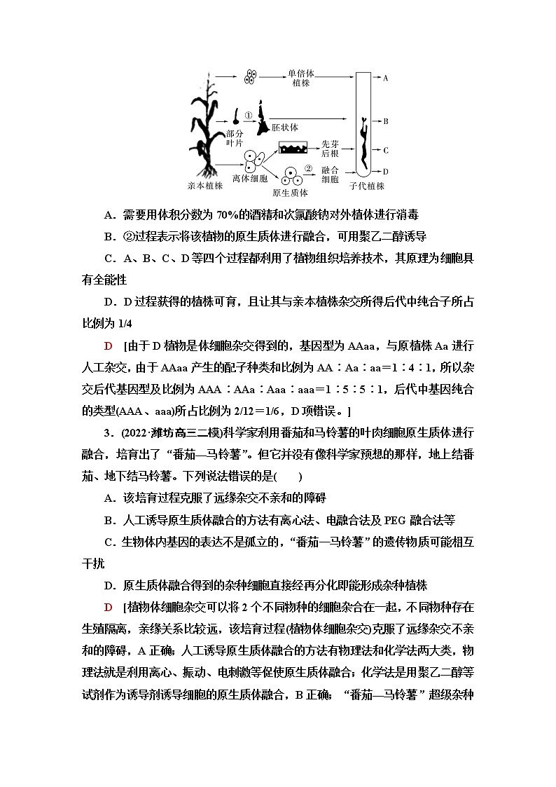 2023届高考生物二轮复习细胞工程作业含答案第2页