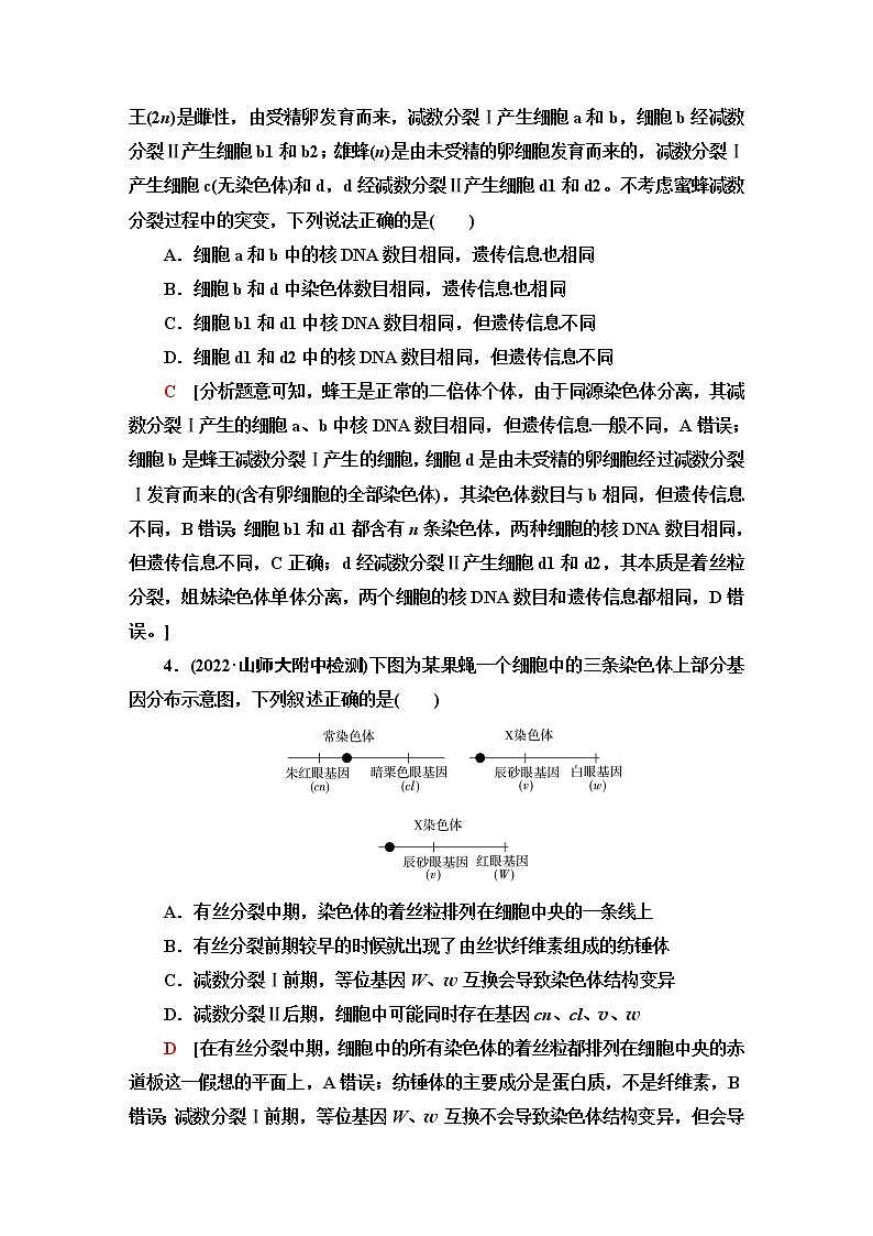 2023届高考生物二轮复习细胞的生命历程作业含答案02