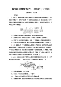 2023届高考生物二轮复习遗传的分子基础作业含答案