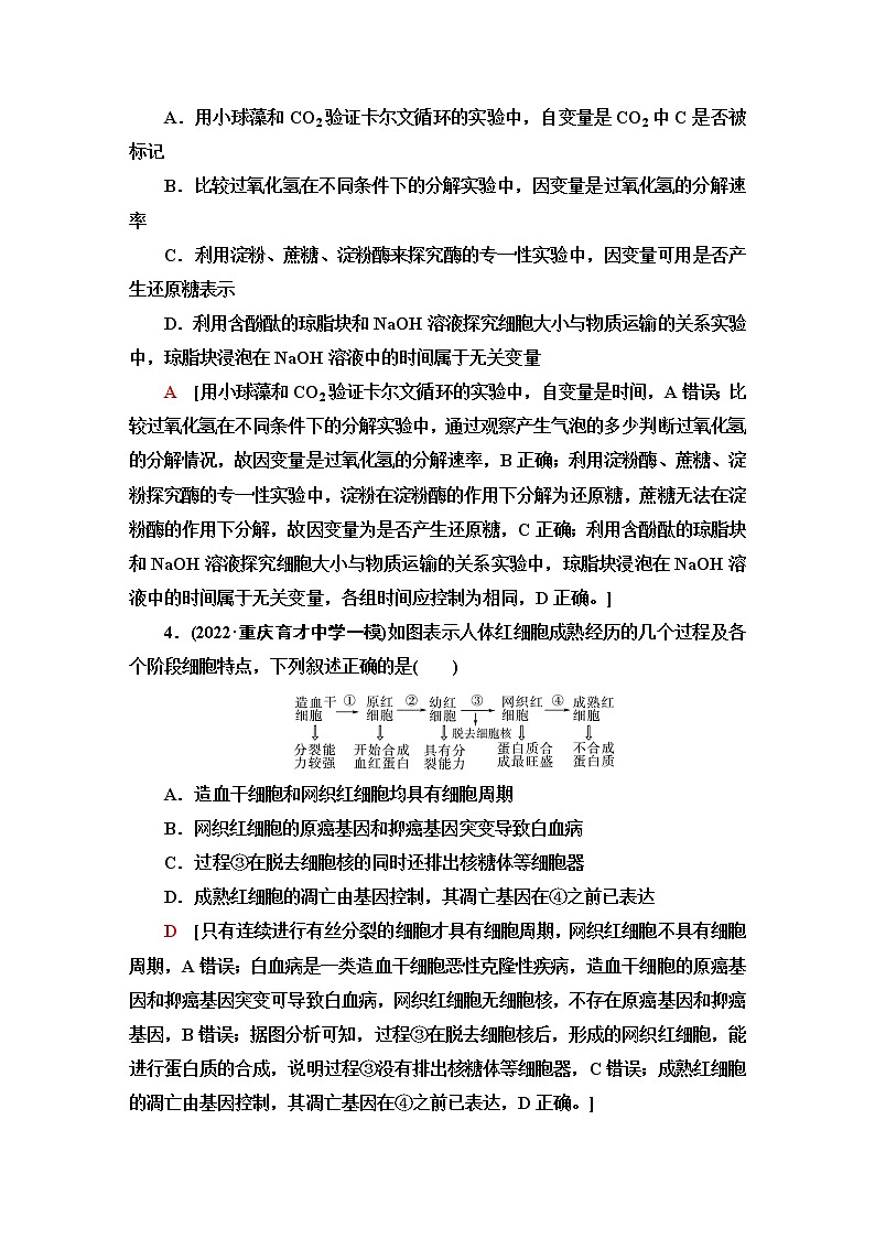 2023届高考生物二轮复习命题点专训2细胞的生命历程与实验(选择题)含答案第2页