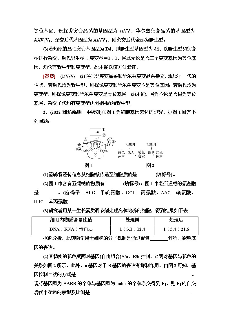 2023届高考生物二轮复习命题点专训11遗传、变异和进化(非选择题)含答案02