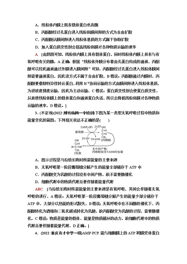 2023届高考生物二轮复习学科核心素养专训2生命观念——物质与能量观含答案第2页