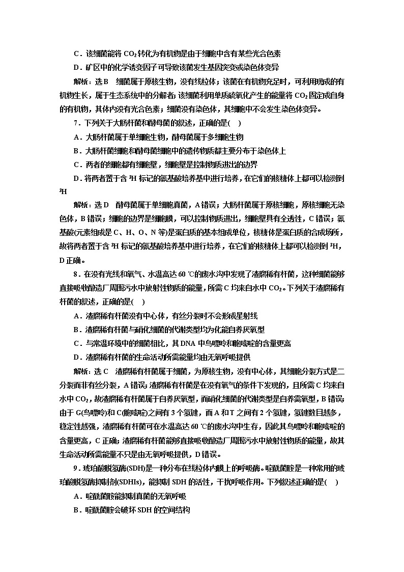 2023届高考生物二轮复习考前热点主题融会贯通训练(二)生物界的“老前辈”——细菌作业含答案第3页