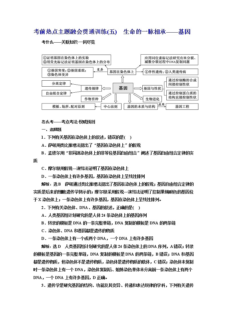 2023届高考生物二轮复习考前热点主题融会贯通训练(五)生命的一脉相承——基因作业含答案第1页