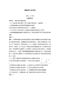 2023届高考生物二轮复习细胞的生命历程作业（广东专用）含答案