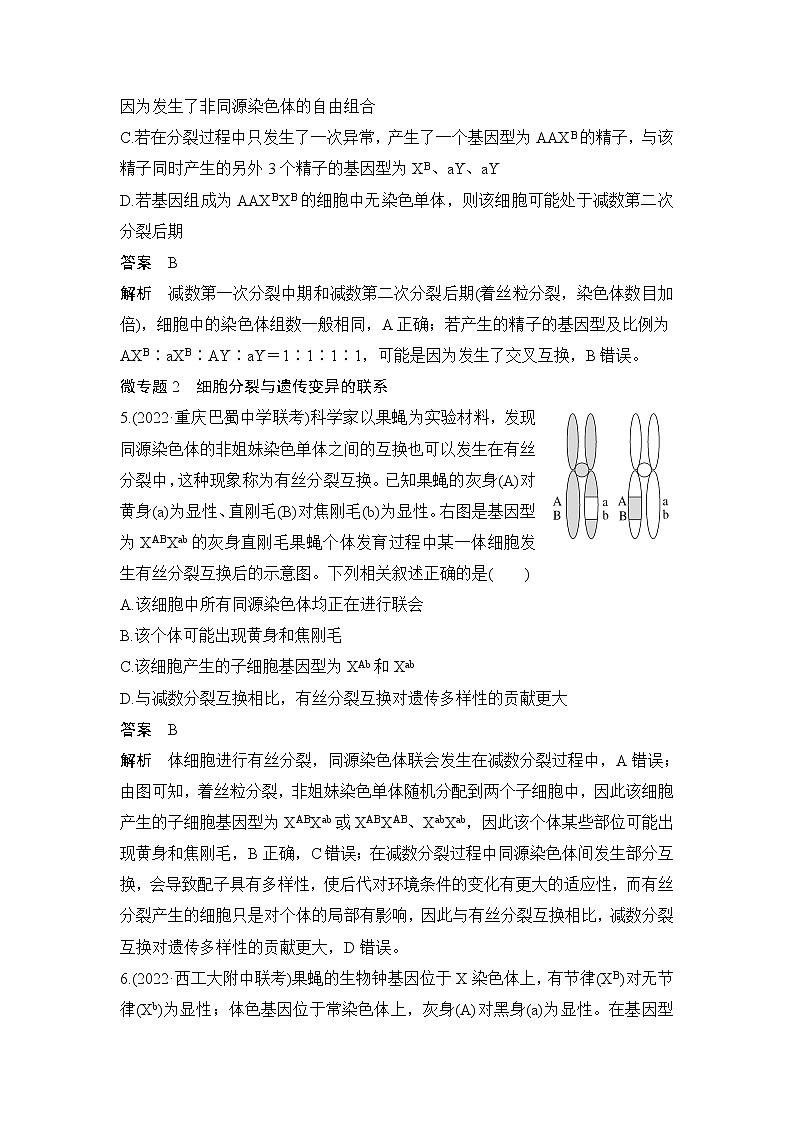 2023届高考生物二轮复习细胞的生命历程作业（广东专用）含答案第3页