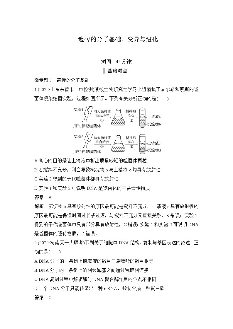 2023届高考生物二轮复习遗传的分子基础、变异与进化作业（广东专用）含答案01