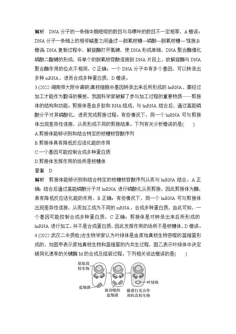 2023届高考生物二轮复习遗传的分子基础、变异与进化作业（广东专用）含答案02