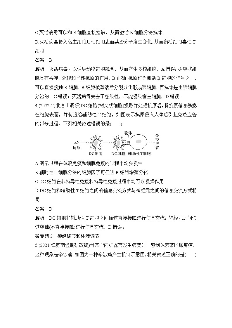 2023届高考生物二轮复习个体生命活动调节作业（广东专用）含答案第2页